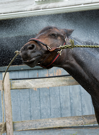 Pepper Bath_3276R_LoRes